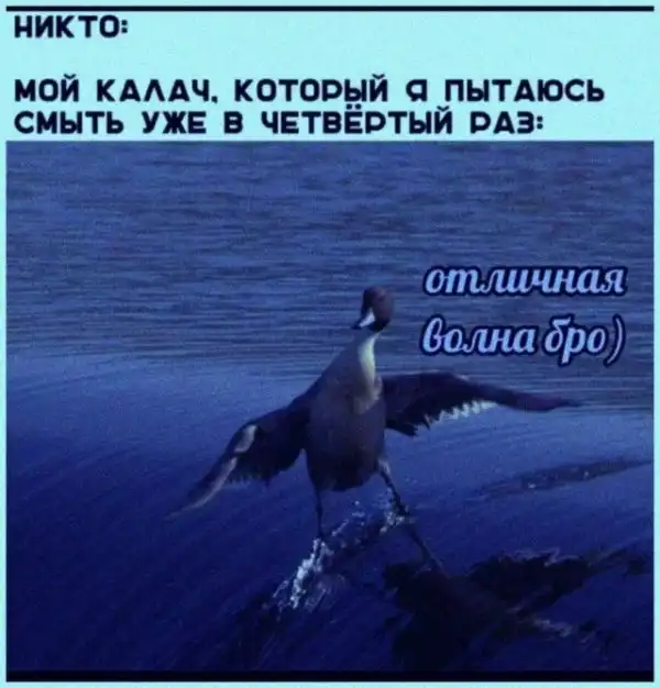 Картинок пост