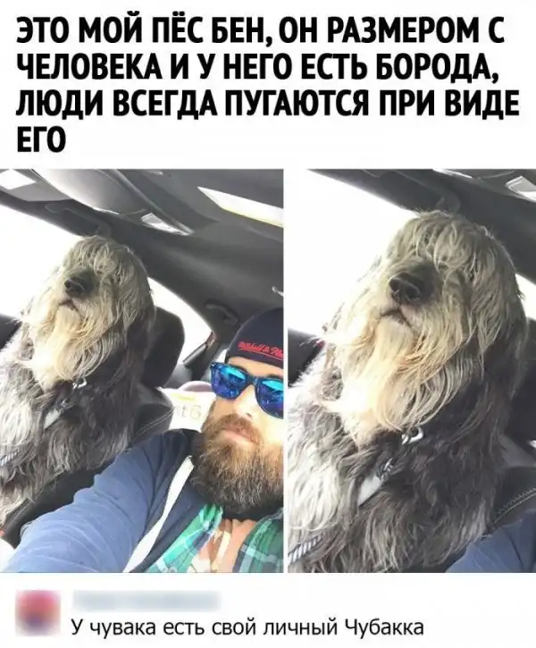 Смешные комментарии из соц.сетей