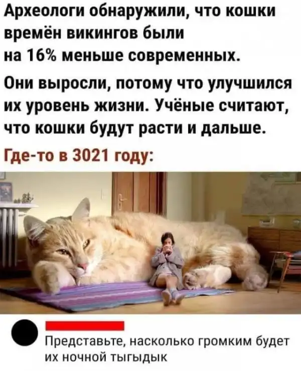 Картинки