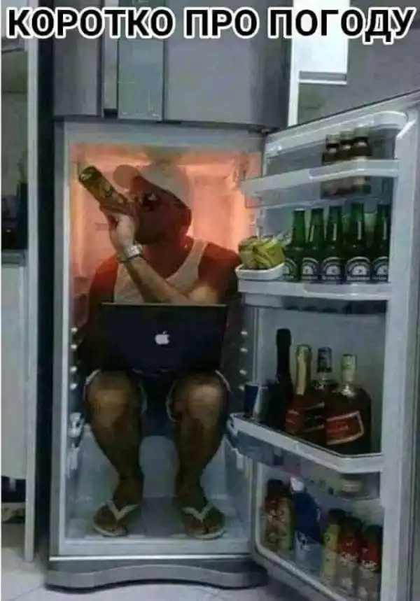 Картинки