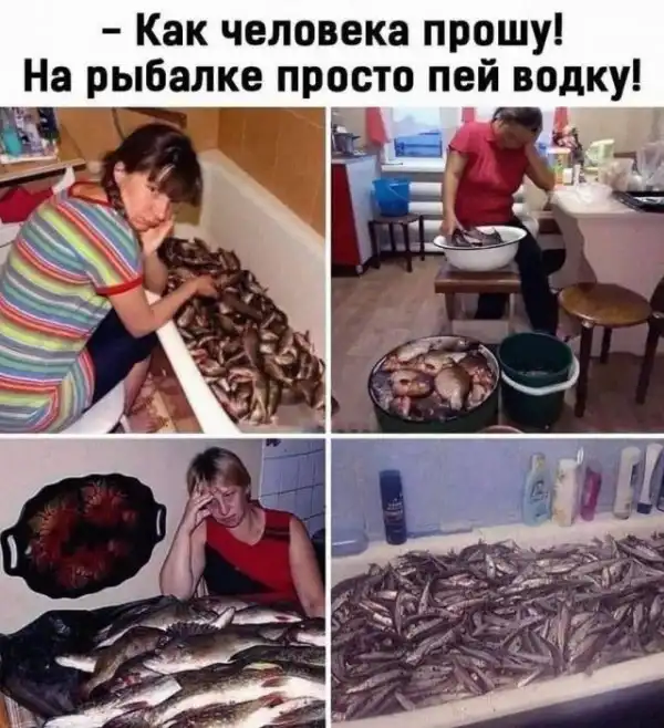 Картинки
