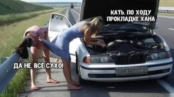 Картинки