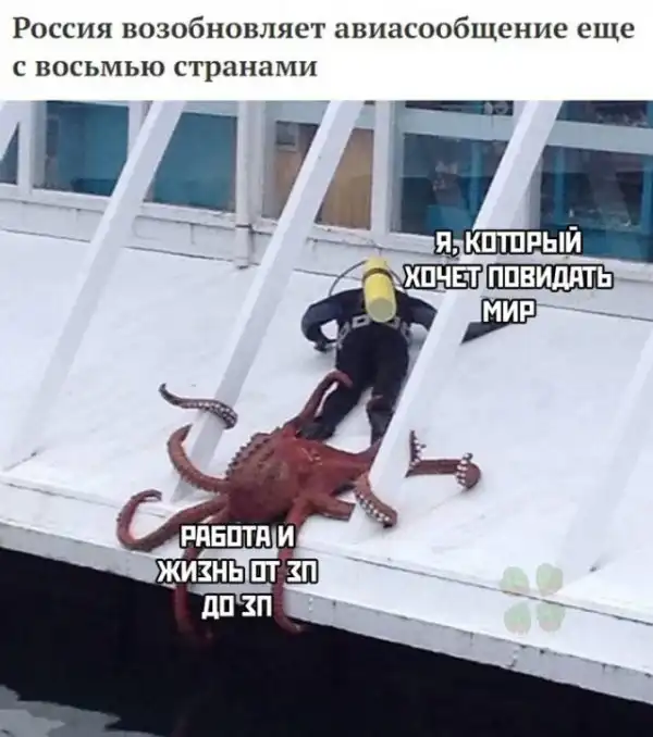 Весёлые