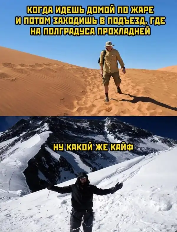 Весёлые