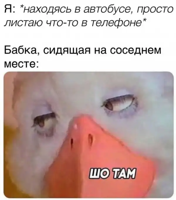 Весёлые
