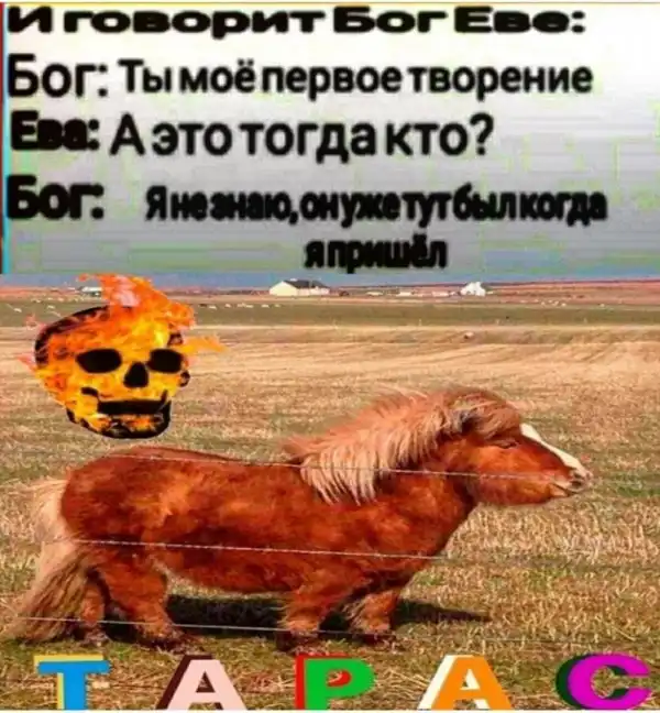 Нестандартный юмор :)