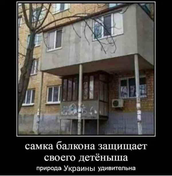 Нестандартный юмор :)