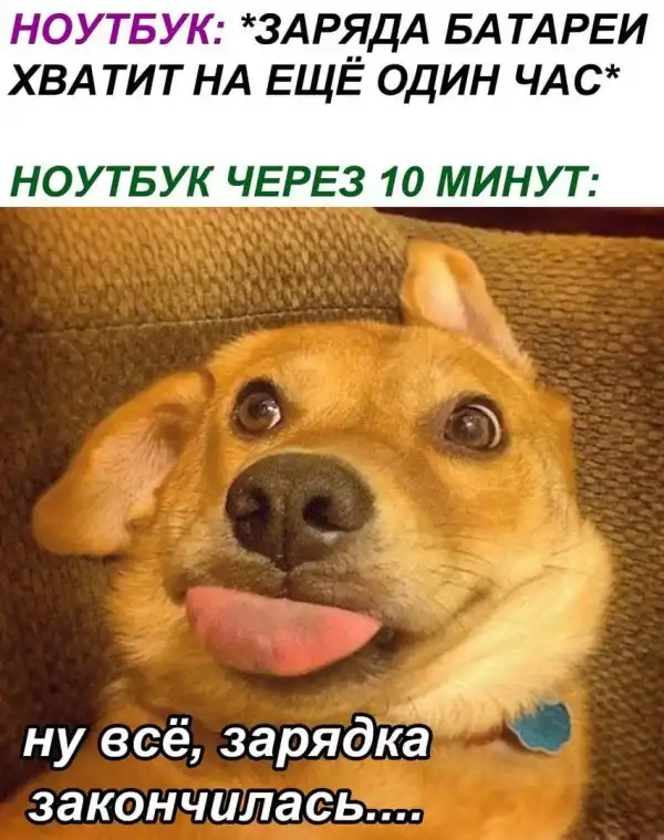 Нестандартный юмор :)