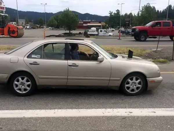 Автовсячина