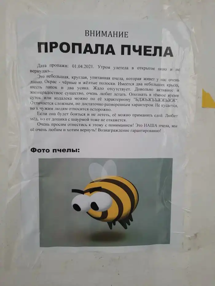 Объявления, которые могли придумать только люди из России Объявления, которые могли придумать только люди из России