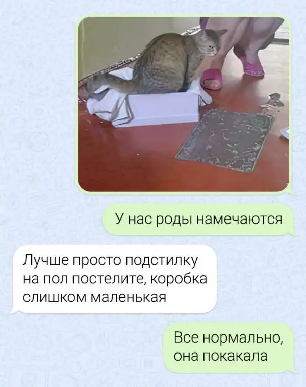 Подборка забавных переписок Подборка забавных переписок