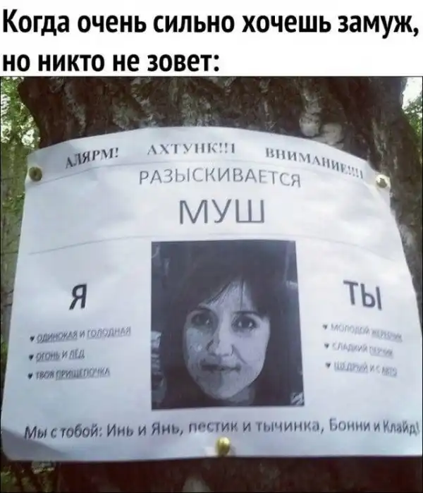 Так себе картинки