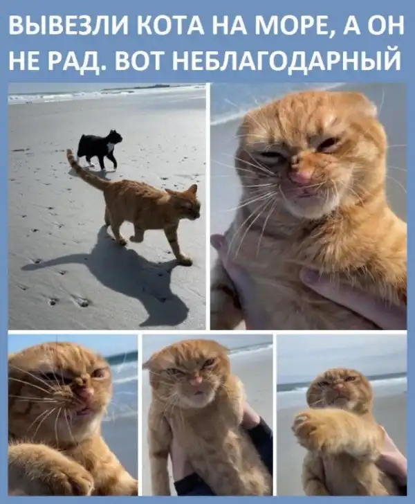 Так себе картинки