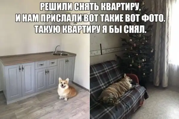 Так себе картинки