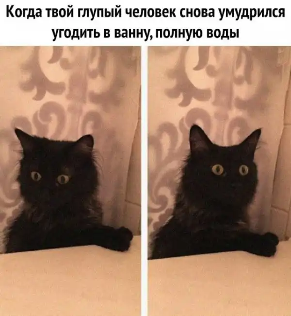Так себе картинки