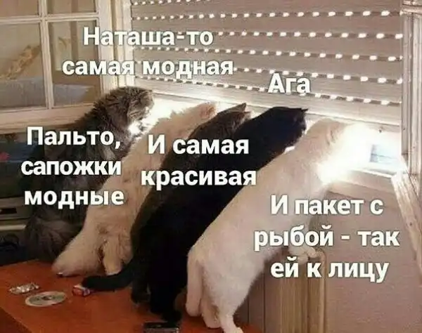 Фотки и картинки с текстом