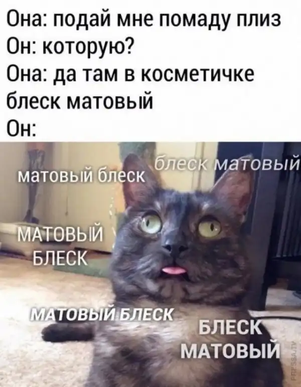 Картинки и мемы для настроения