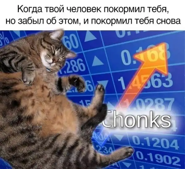 Нестандартный юмор :)