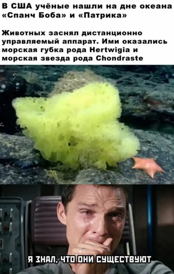 Картинки и мемы для настроения