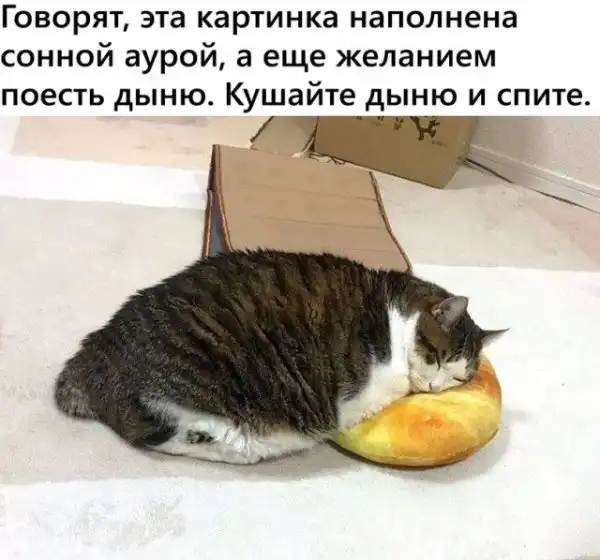 Картинки и мемы для настроения