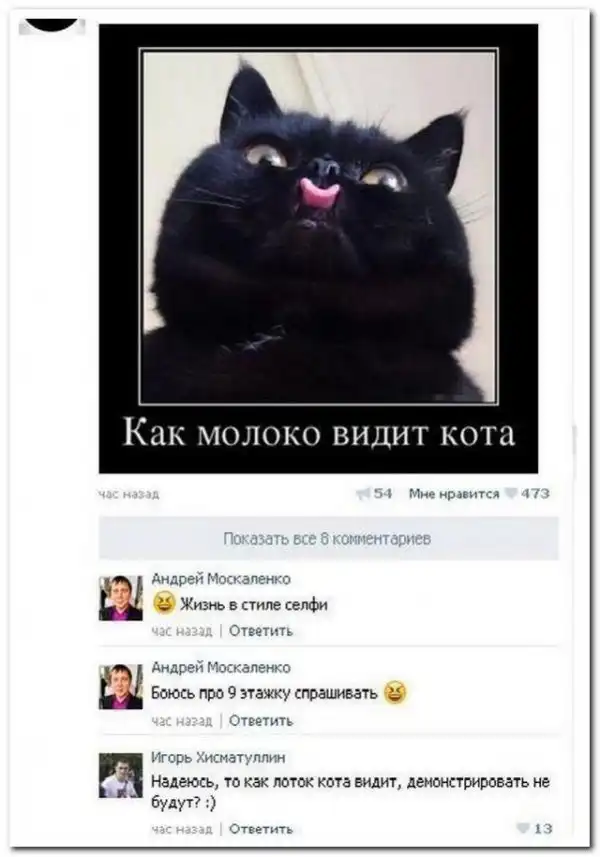 Картинки и мемы для настроения