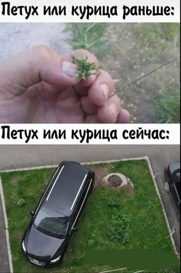 Так себе картинки