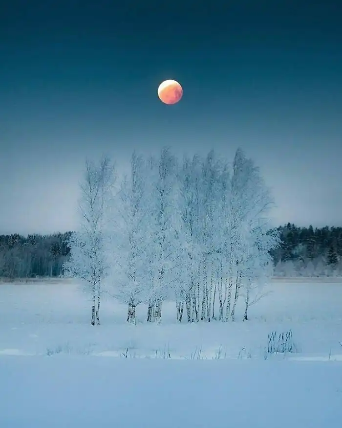 40 фотографий, которые можно было сделать только в Европе 40 фотографий, которые можно было сделать только в Европе