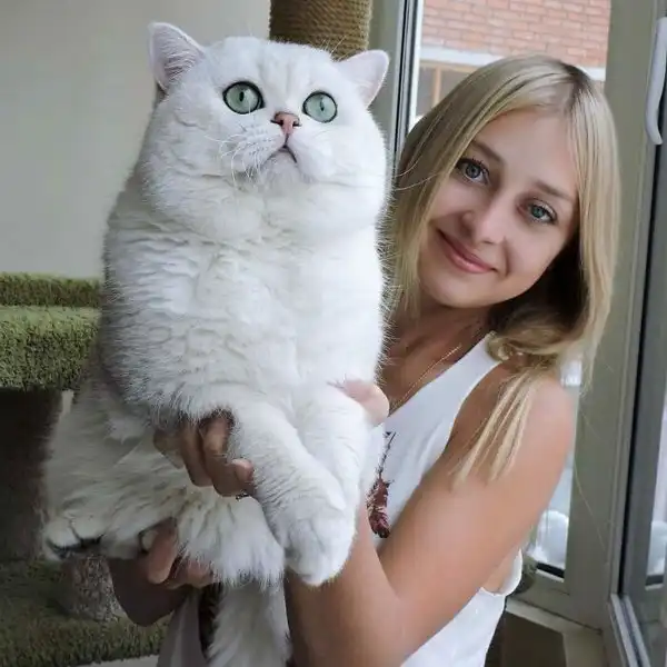 Всякое 