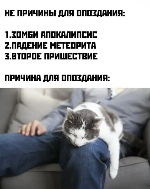 Картинки и мемы для настроения