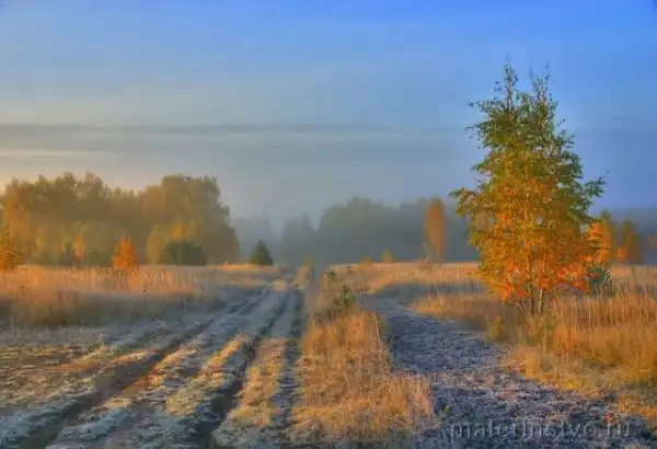 Осенние поля