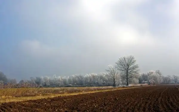 Осенние поля