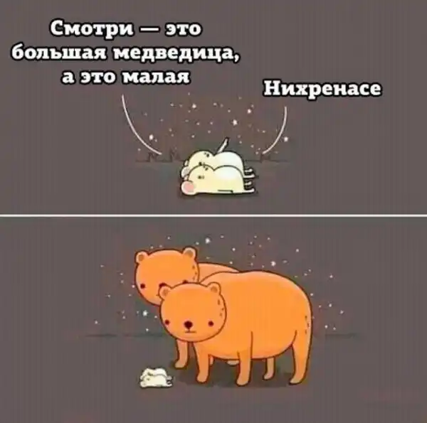 Кретинизмы из сети