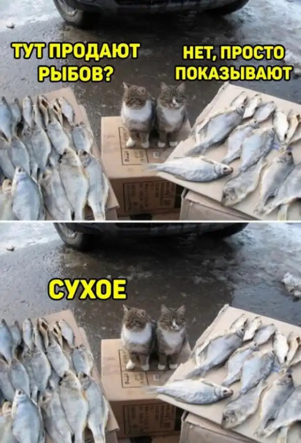 Картинки и мемы для настроения