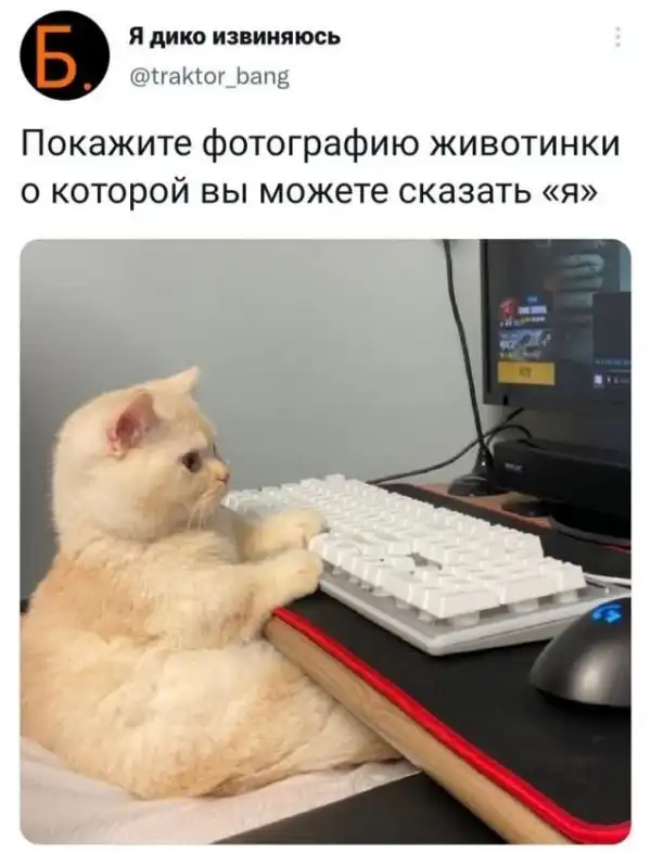 Скрины из соцсетей