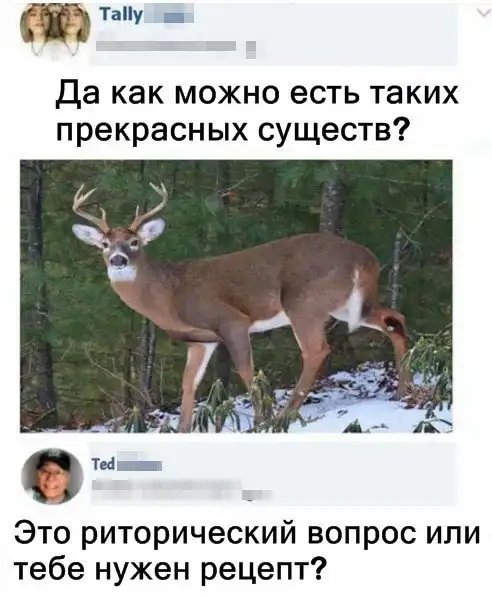 Пюрешка надоела: когда решил приготовить что-то новенькое Пюрешка надоела: когда решил приготовить что-то новенькое