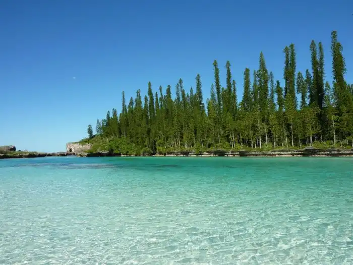Затерянный мир. Новая Каледония - остров, который был изолирован со времен динозавров