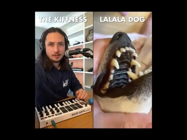 The Kiffness x Lalala Dog - Lalala
