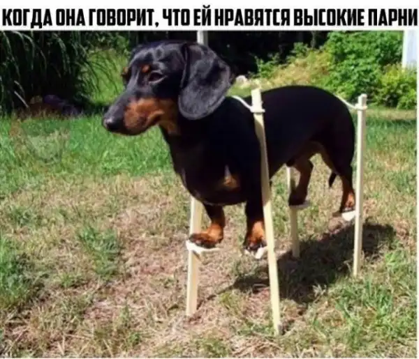 Картинки и мемы для настроения
