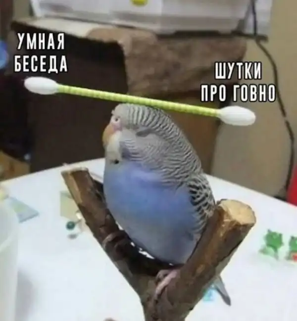 Картинки и мемы для настроения