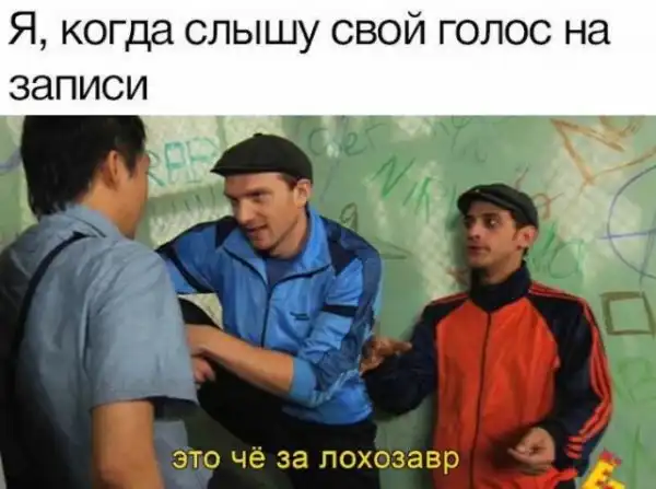 Картинки и мемы для настроения
