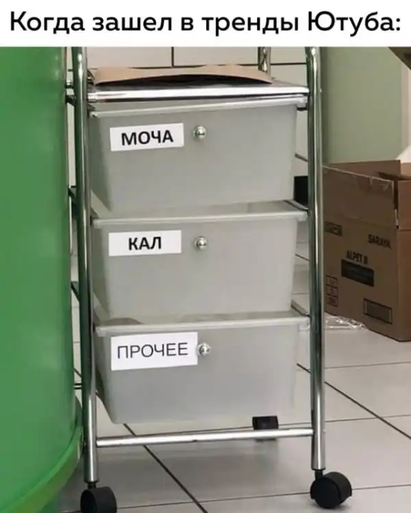 Картинки и мемы для настроения