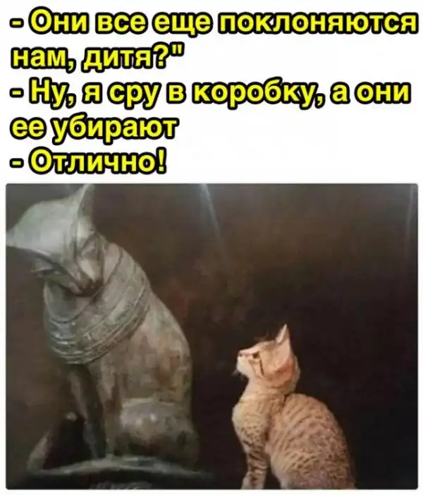 Картинки и мемы для настроения