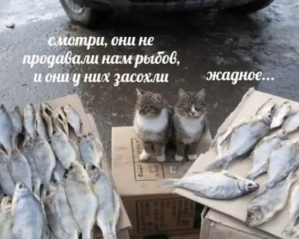 Весёлые