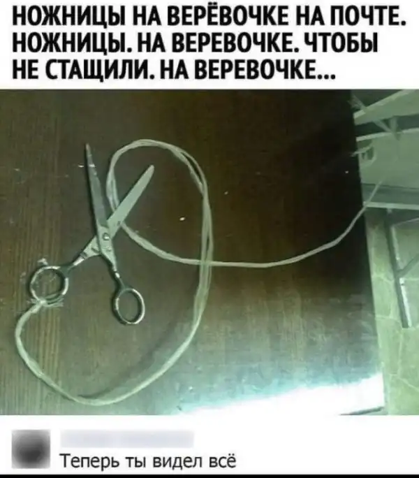 Всяческие картинки
