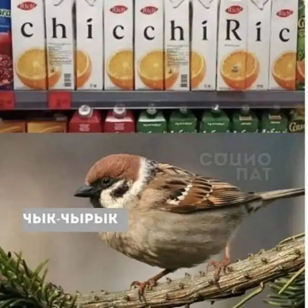 Всяческие картинки