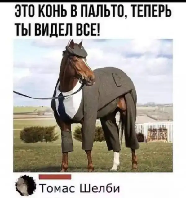 Всяческие картинки