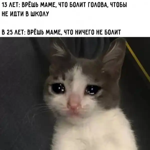 Весёлые