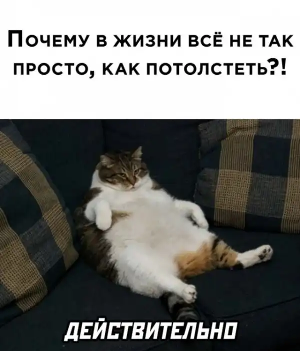 Весёлые