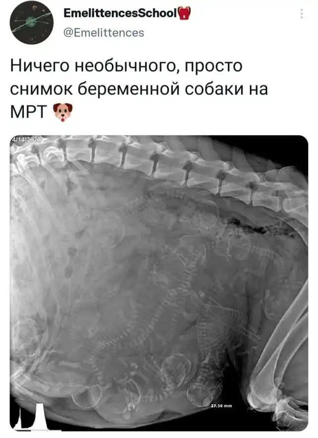 Сети 22