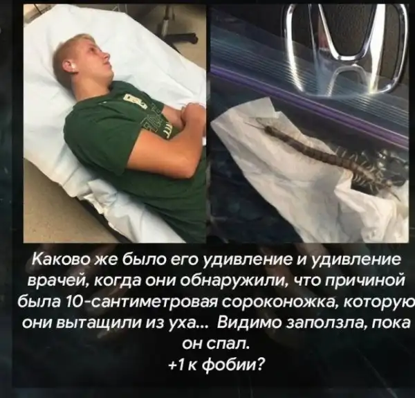 Теперь это твоя фобия